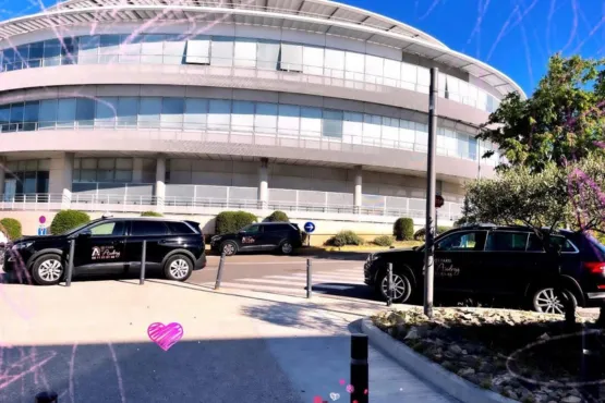 chauffeur taxi nimes service transport business professionnel